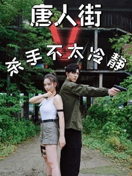 唐人街杀手不太冷静 (2024)-多米联创