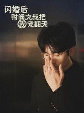 闪婚后财阀大叔把我宠翻天 (2024)-多米联创