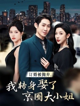 订婚被抛弃，我转身娶了京圈大小姐 (2024)-多米联创
