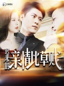 迟来的亲情比草贱 (2024)-多米联创