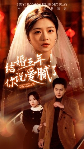结婚五年！你说爱腻了 (2025)-多米联创