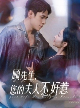 顾先生，您的夫人不好惹 (2025)-多米联创