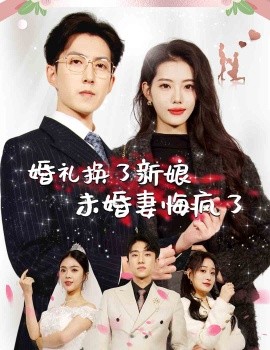 婚礼换了新娘未婚妻悔疯了 (2024)-多米联创