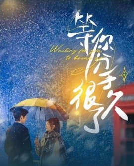 等你分手很久了（86集）段美洋＆彭瑶 (2025)-多米联创