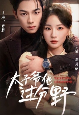 太子爷他过分野 (2024)-多米联创