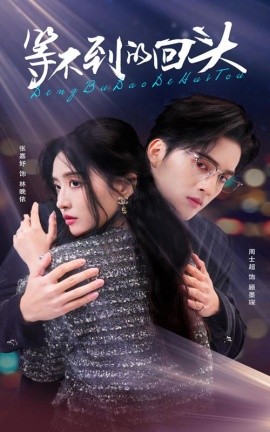 等不到的回头 (2025)-多米联创