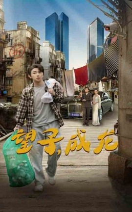 望子，成龙 (2024)-多米联创