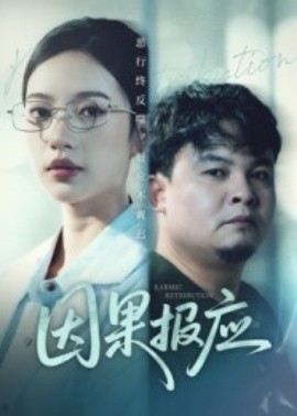 因果报应（30集）唐敏 (2025)-申水仓