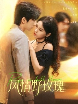 风情野玫瑰&揉碎玫瑰(70集)方思畅&冯子毅 (2025)-申水仓