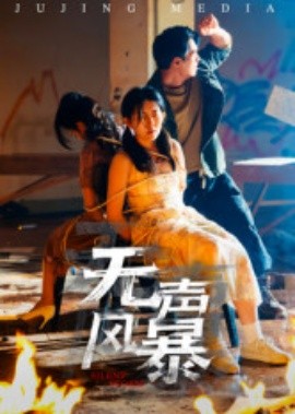 无声风暴(33集)鄢子纶 (2025)-申水仓