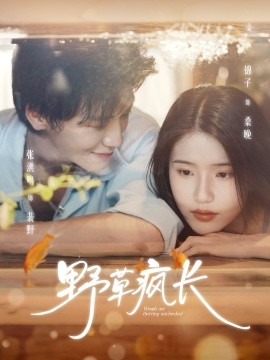 野草疯长（71集）张洪鸣＆锦子 (2025)-申水仓