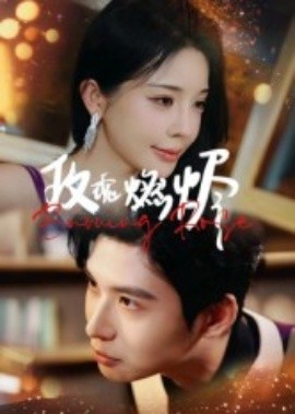 玫瑰燃烬（39集）张宸彬 (2025)-申水仓