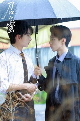 刀口之蜜（46集）刘晏辰&王年将成 (2025)-申水仓