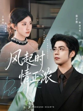 风起时情正浓（79集）秦子墨＆王如玮＆洪乔 (2025)-申水仓