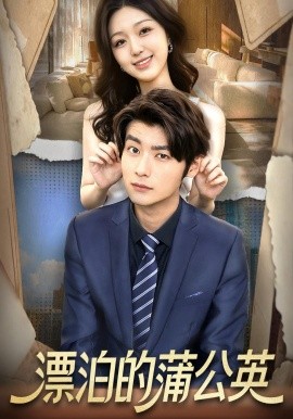 漂泊的蒲公英（60集）张馨然&舒畅 (2025)-申水仓