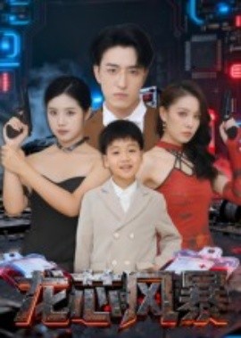 龙芯风暴（60集）王亨宇 (2025)-申水仓