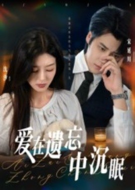 爱在遗忘中沉眠（62集）张慧尧 (2025)-申水仓