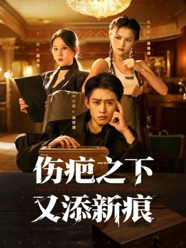 伤疤之下又添新痕（60集）李世鑫＆丁磊 (2025)-申水仓