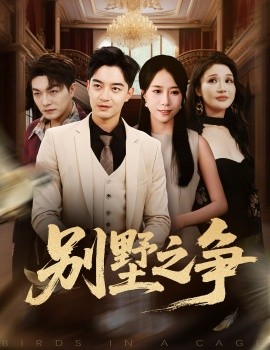 别墅之争（59集）党梦雨&贺龙天 (2025)-申水仓