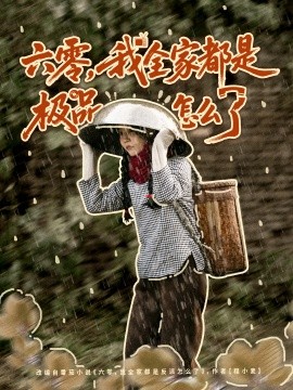 六零,我全家都是极品怎么了(83集)委佳宇&张诗媛 (2025)-多米联创