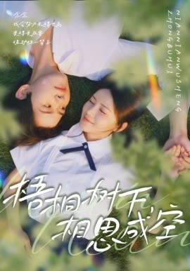 梧桐树下，相思成空（69集）游雅&刘家铭 (2025)-申水仓