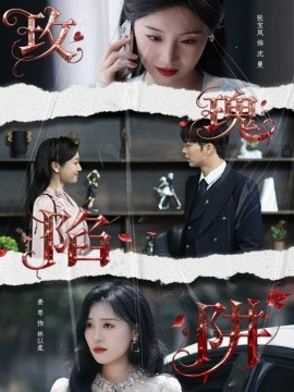 玫瑰陷阱（40集）陈瑞＆张宝岚 (2025)-申水仓