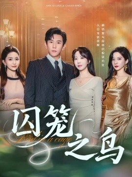 囚笼之鸟（52集）程澄&彭丹丹（彭呆呆）(2025)-申水仓