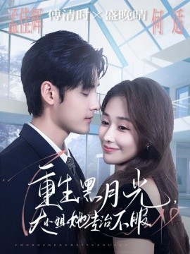 重生黑月光，大小姐她专治不服（80集）孟佳辉＆何适 (2025)-申水仓