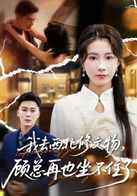 我去西北修文物，顾总再也坐不住了（46集）曹嘉怡&戴金鳞 (2025)-申水仓