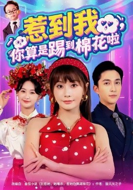 惹到我，你算是踢到棉花啦（67集）陈楚洹＆娄宇瑶 (2025)-多米联创