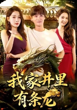 我家井里有条龙(80集)刘方为&张家嘉 (2025)-多米联创