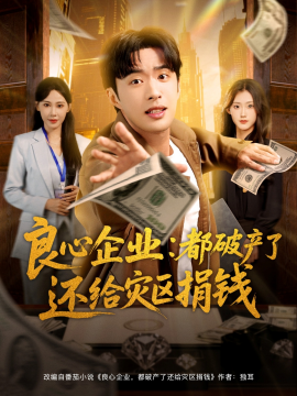 良心企业：都破产了还给灾区捐钱（80集）姜恺琳&孔奇力 (2025)-申水仓