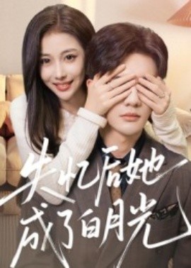 失忆后她成了白月光（50集）陈益楠 (2025)-申水仓