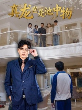 真龙岂是池中物（80集）孙忠杨＆魏灵尧 (2025)-申水仓