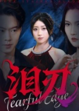 泪刃（40集）魏铭洋&朱婉婷 (2025)-申水仓