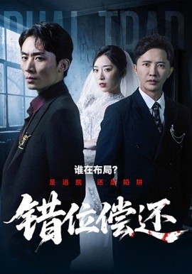 错位偿还（60集）李永鑫＆赵芯冉 (2025)-申水仓