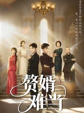 婿业难成&赘婿难当（69集）丁敬一&段乃心 (2025)-申水仓