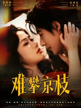 难攀京枝（74集）赵振栋＆张晋宜 (2025)-申水仓