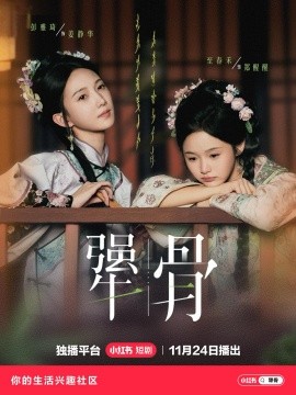 犟骨（44集）至春禾&彭雅琦&陈名豪 (2025)-多米联创