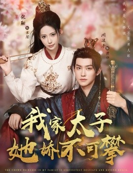 我家太子她娇不可攀（80集）周凌丰&张珊 (2025)-申水仓