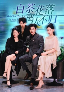 白茶花落离人（51集）沈国洋&林初 (2025)-申水仓