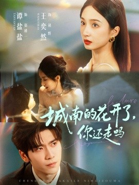 城南的花开了，你还走吗（84集）王奕然＆谭盐盐 (2025)-申水仓