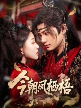 今朝凤栖梧（68集）柳甯＆韩录锦 (2025)-申水仓