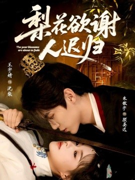 梨花欲谢人迟归(60集)朱傲宇&王宇婧 (2025)-多米联创