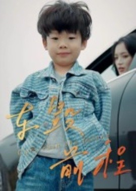 车毁前程（30集）罗淼淼&张文慧 (2025)-申水仓