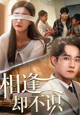 相逢却不识（77集）刘静阳&程汁 (2025)-申水仓