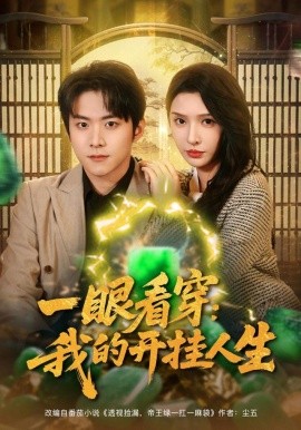 一眼看穿:我的开挂人生(80集)刘金妍&李俊良 (2025)-多米联创