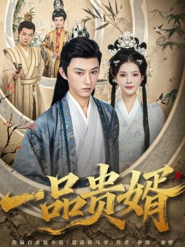 一品贵婿(80集)孙景琛&万羽沫 (2025)-多米联创