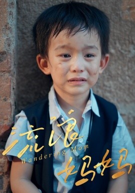 流浪妈妈（30集）(2025)-申水仓