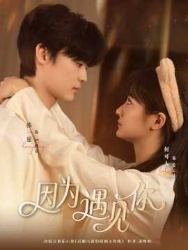 因为遇见你（79集）韩一霆＆何可人 (2025)-申水仓